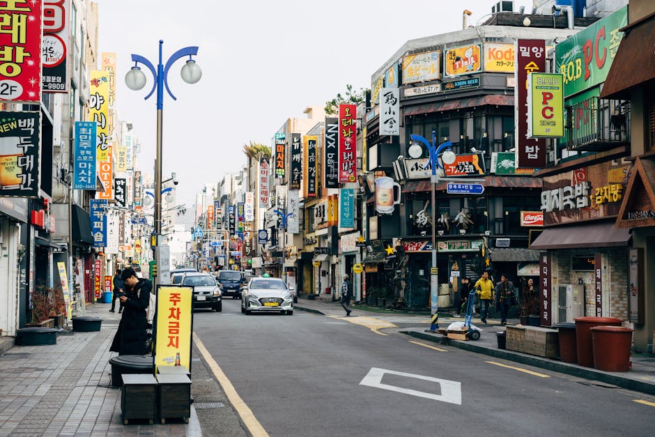 복지 정보 이미지